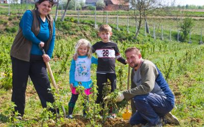 OPG Vukelić – u 10 najuspješnijih OPG-ova