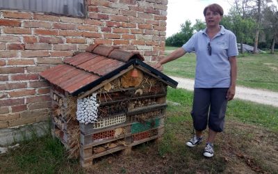 POSJET EKOLOŠKOM IMANJU ZRNO
