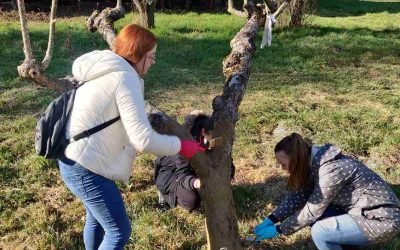 Sveučilište Sjever – Odjel Prehrambene tehnologije