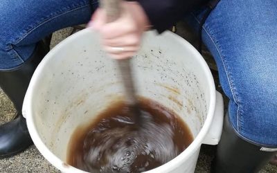 Proljetni ciklus pripreme biodinamičkih pripravaka