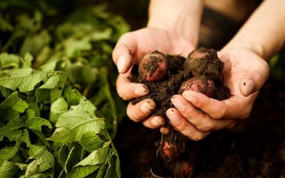 Sretan Vam prvi „Eu Organic day“