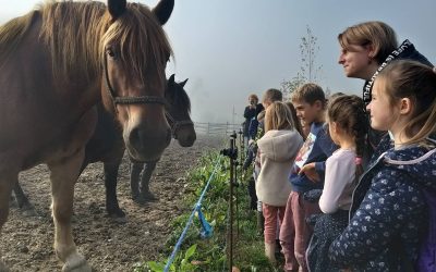 Radionica o osnovama poljoprivrede s Waldorfskom školom Zagreb