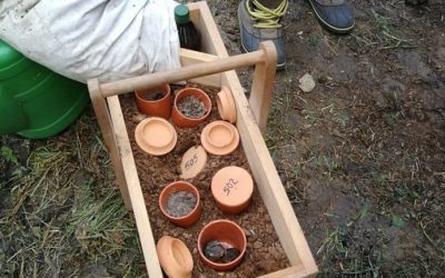 Savjeti što raditi ove jeseni u biodinamičkom vrtu