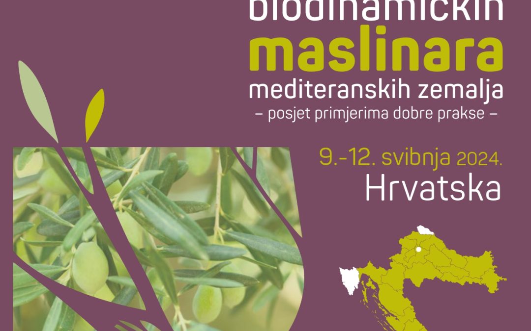 4. HRVATSKI DANI BIODINAMIKE – 2. Forum ekoloških i biodinamičkih maslinara mediteranskih zemalja (2nd Organic and biodynamic Olive Growers Community tour