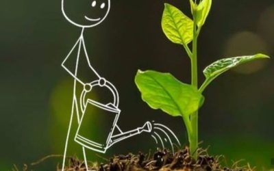 Danas obilježavamo EU Organic Day — Dan ekološke poljoprivrede!