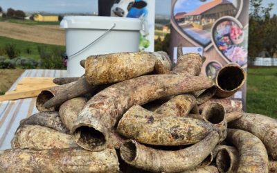 Jesenska radionica izrade biodinamičkih pripravaka – MEĐIMURSKA ŽUPANIJA